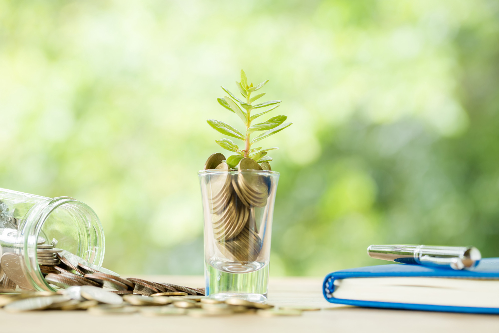 The Power of Compounding in Recurring Deposits: Grow Your Savings Smartly